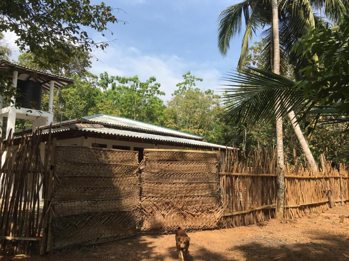 Cashew Villa Hiriketiya Zuid-Dikwella Buitenkant foto