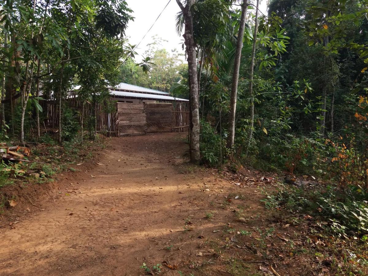 Cashew Villa Hiriketiya Zuid-Dikwella Buitenkant foto