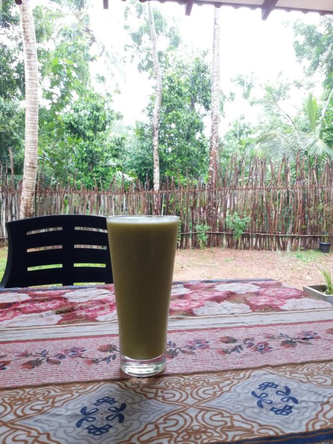 Cashew Villa Hiriketiya Zuid-Dikwella Buitenkant foto