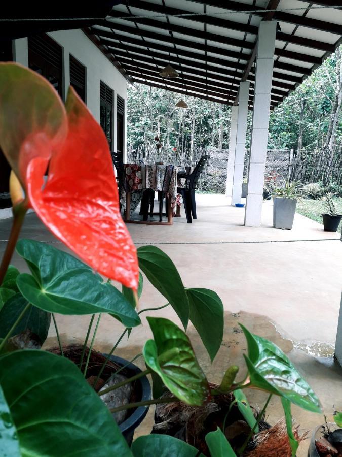 Cashew Villa Hiriketiya Zuid-Dikwella Buitenkant foto