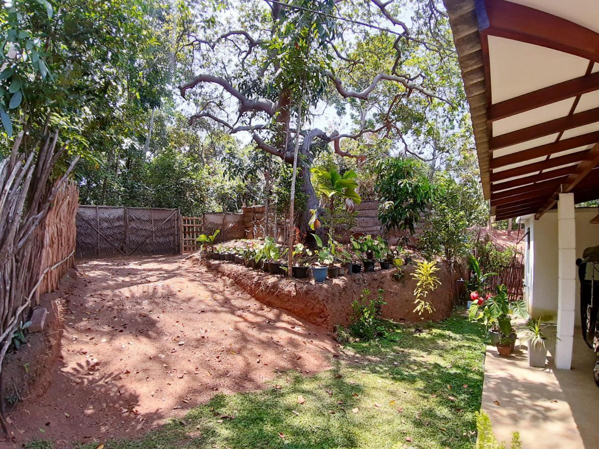 Cashew Villa Hiriketiya Zuid-Dikwella Buitenkant foto