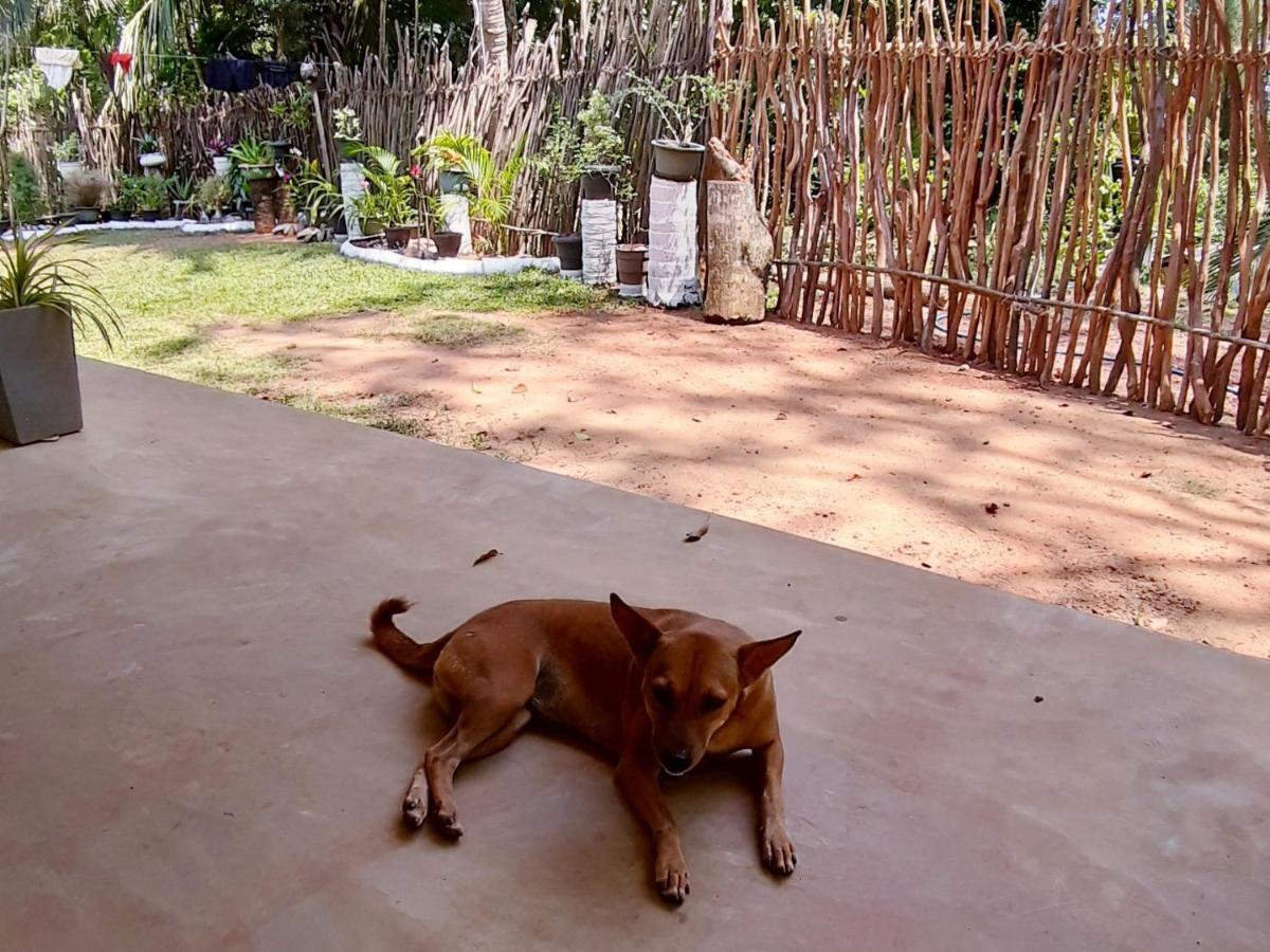 Cashew Villa Hiriketiya Zuid-Dikwella Buitenkant foto