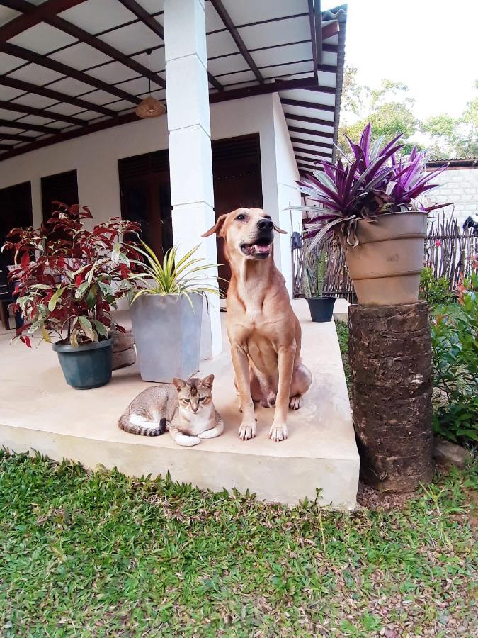 Cashew Villa Hiriketiya Zuid-Dikwella Buitenkant foto
